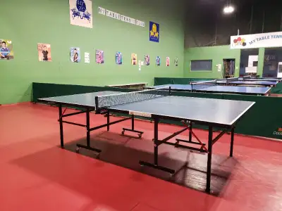 The largest and finest Ping Pong equipment retailer offers: Double Fish 201S/V training and recreati...