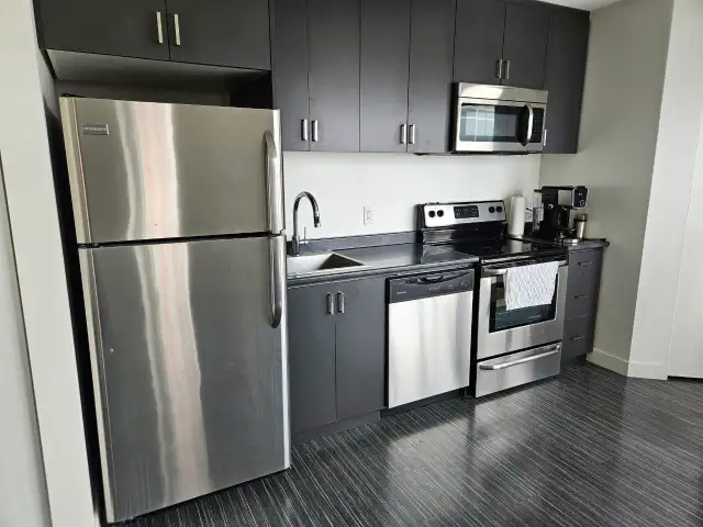 Bright 1-Bedroom Apartment in Exchange District in Long Term Rentals in Winnipeg - Image 7