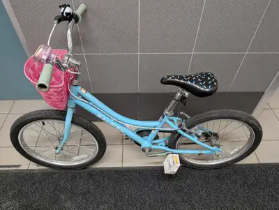 Raleigh Bikes Jazzi 20 Kids Cruiser Bike, View more
