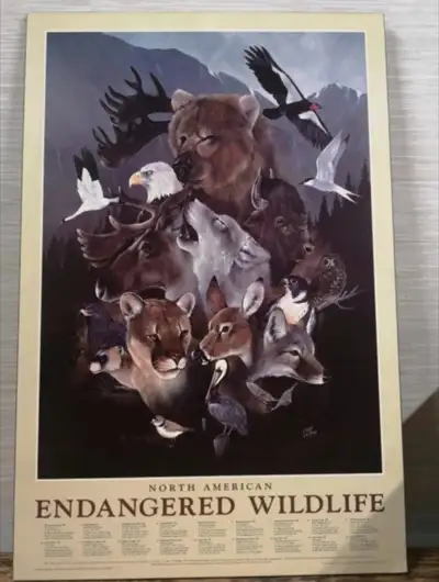 N.A Endangered Wildlife poster on plak-it board, View more