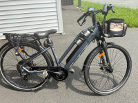 Electric Bike