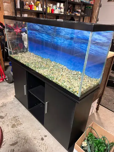 55 Gallon Aquarium & Stand, View more