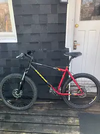 large mountain bike