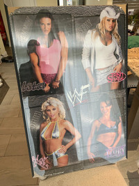 Vintage WWF Wrestling Poster