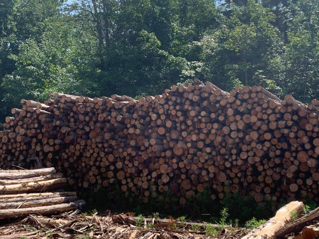 Firewood for sale: 8ft lengths, blocked, or blocked and split in Other in Summerside - Image 3