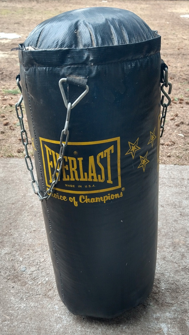 40 lb. Heavy bag. in Other in Nelson