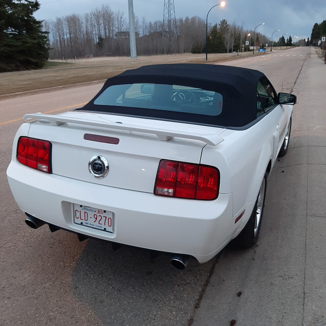 2009 Mustang GT California Special Convertible in Cars & Trucks in Red Deer - Image 2