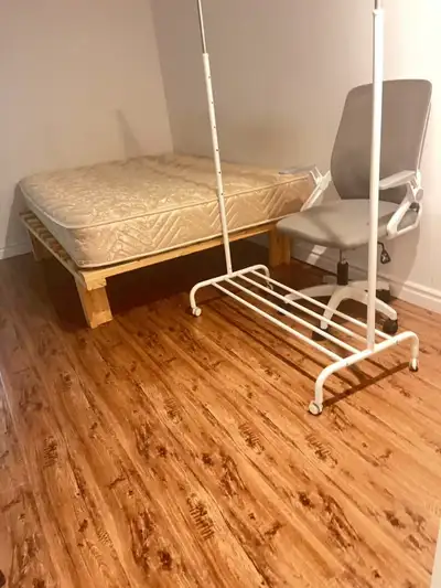 College and Bathurst Basement Suite