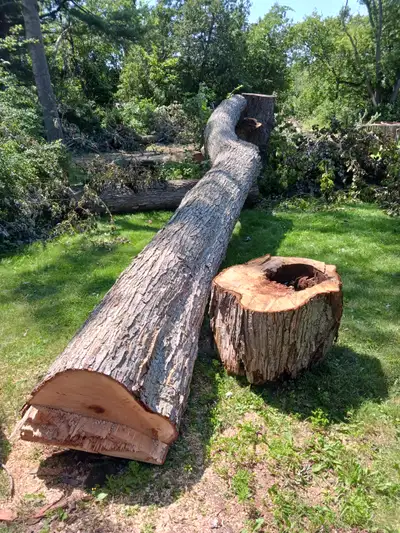 Wood, lumber, firewood, View more