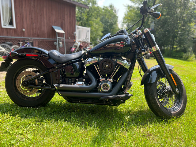 2018 harley davidson softail slim in Street, Cruisers & Choppers in North Bay - Image 2