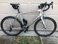 Specialized Roubaix Expert (XL 58CM)