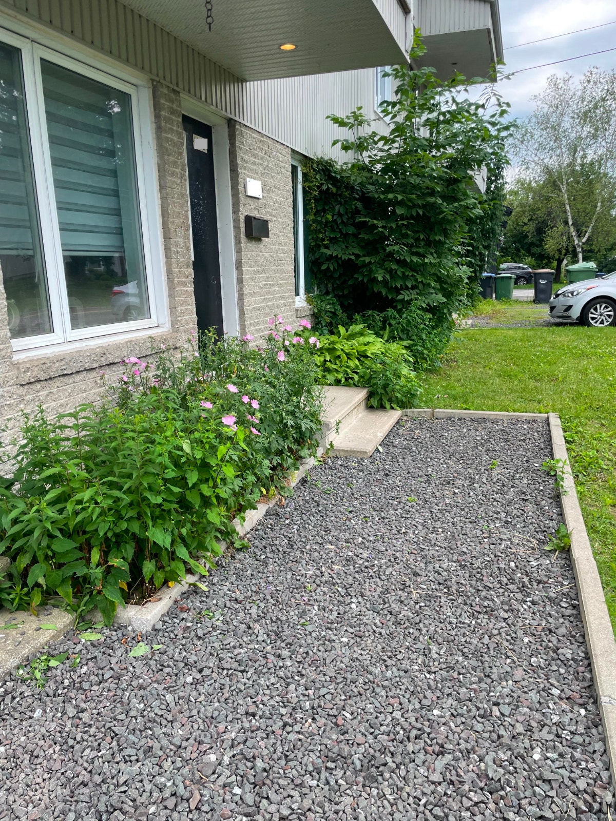 Superbe 4 1/2 À louer - Lévis, QC au pied des ponts — photo 2