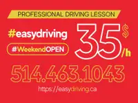 PROFESSIONAL DRIVING LESSON 7 DAYS