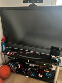 Sony LCD TV and TV Stand