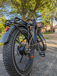 Deal: RadRover 6 Plus eBike in Mint Condition!
