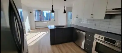 Bright 3 1/2 apartment downtown for lease transfer