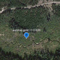 Placer gold claim on trout creek 