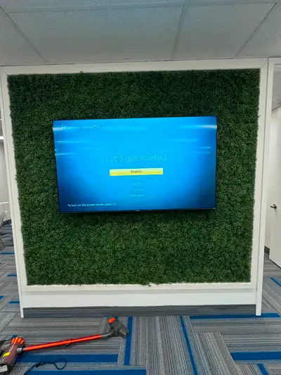 Tv Installation - HANDYMAN services  ( SAME DAY ) 647-671-3756, View more