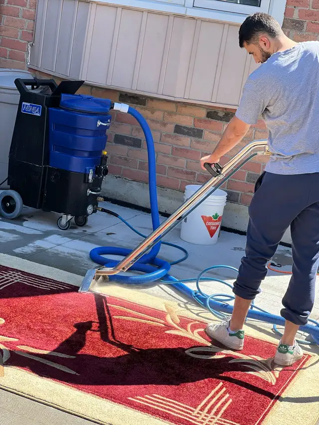 carpet and sofa and mattress cleaning 62865710835971124