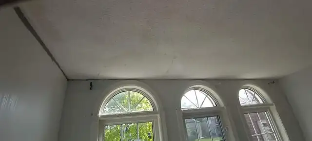 painter/ handyman available 525303458081034244