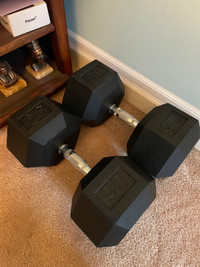 90lbs Rubber Hex Dumbbell (pair)