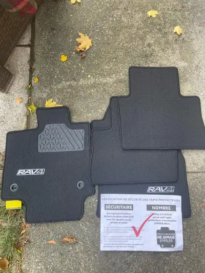 NEW! Toyota RAV4 Carpet Floor Mats: NEW BODY STYLE 2019+ newer