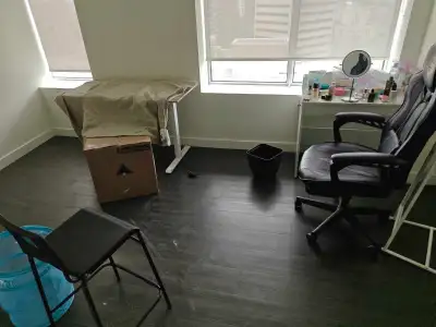 need some one to help with moving furnitures, a mattress and boxes, a pickup truck load and 6 min dr...
