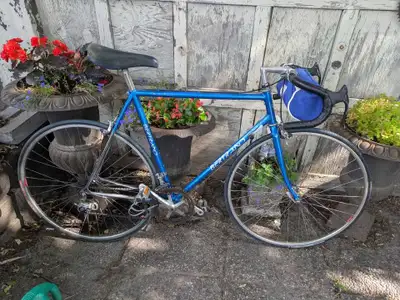 Gilles Bertrand Vintage Road Bike, View more
