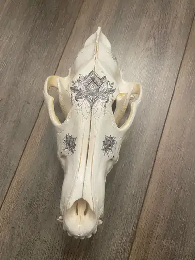 painted wolf skull , View more