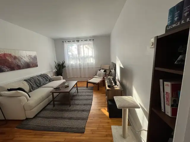 3 1/2 à louer libre immédiatement  in Long Term Rentals in Sherbrooke - Image 2
