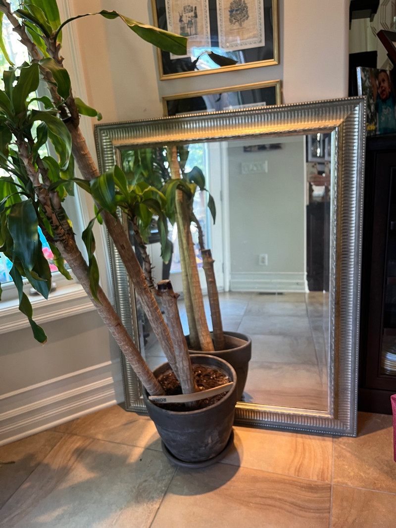 Large mirror Arts & Collectibles Ottawa Kijiji