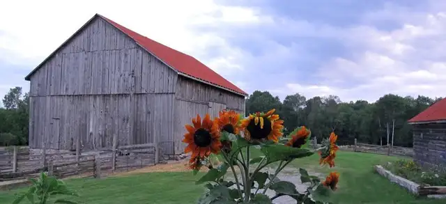 Wholearth Farmstudio - 100-Acre Legacy Homestead - Hastings, ON