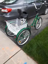 Folding adult tricycle