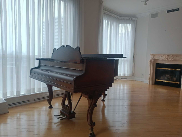 ⚡ Moving, Local movers, Piano  Movers - Mississauga / Peel Region in Moving & Storage in Mississauga / Peel Region - Image 3