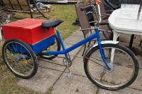 Tricycle pour adulte 