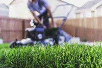 Lawn maintenance 