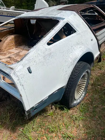 Rare cars 1975 Bricklin SV-1, parts cars, let me know what you need Selling parts from 100.00 and up