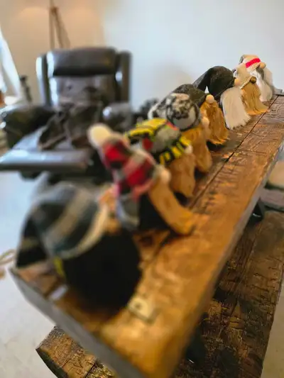 sock gnomes , View more