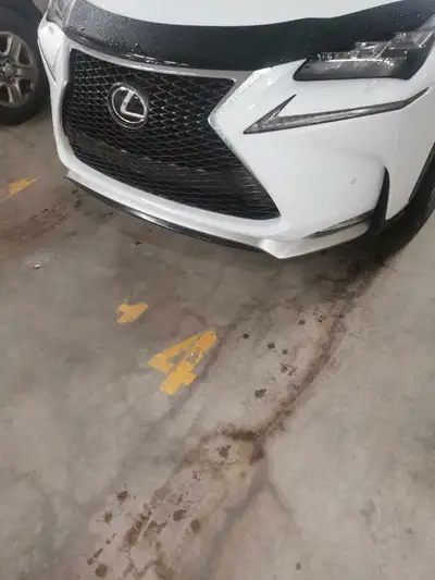 Lexus for sale 