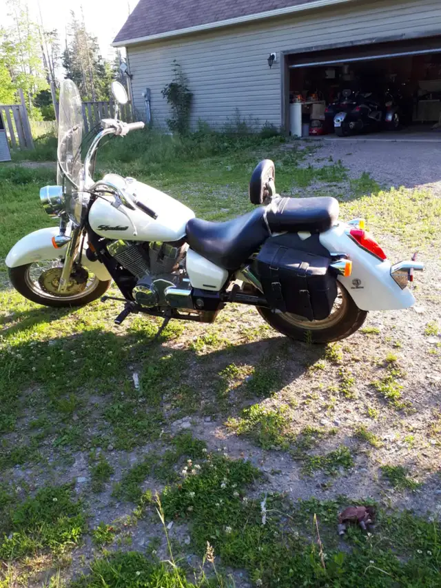 2007 Honda Shadow 750 in Street, Cruisers & Choppers in Cape Breton - Image 3