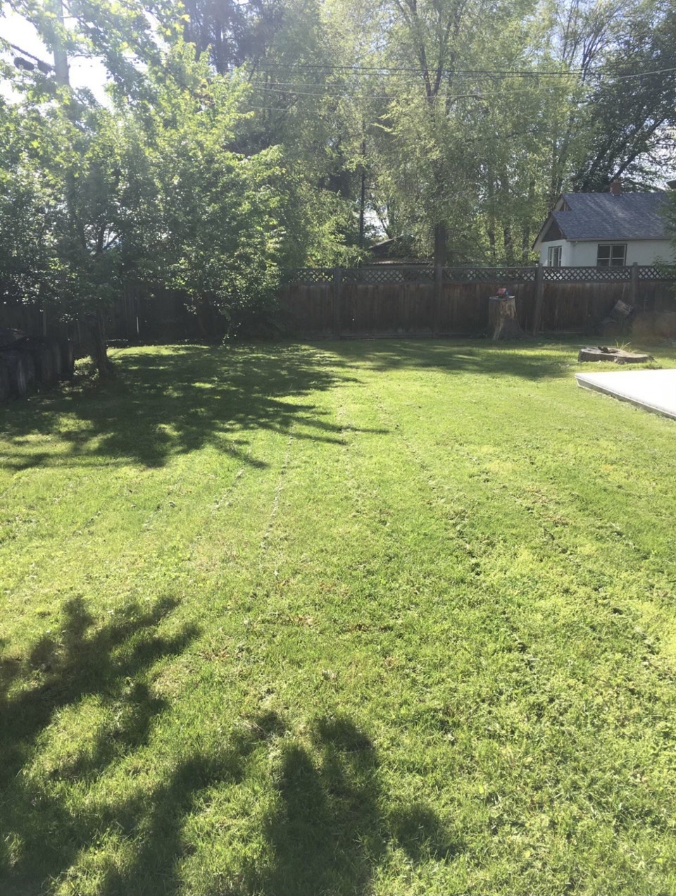 Two-bedroom character home for rent in Coldstream 2