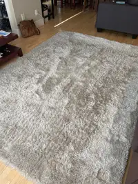 6’ - 8” x 9’ shag rug in great condition