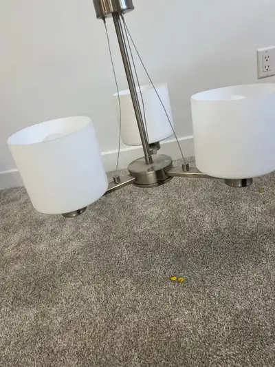 Chandelier , View more