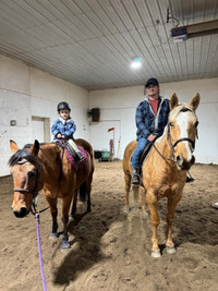 Horseback riding lessons 