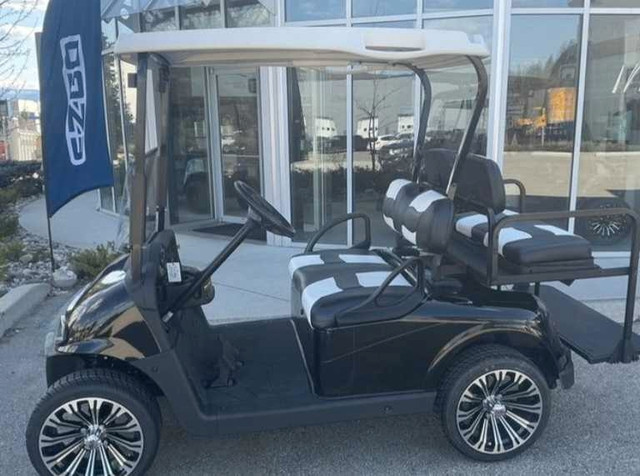 Lithium Golf Cart  in Other in Calgary - Image 4
