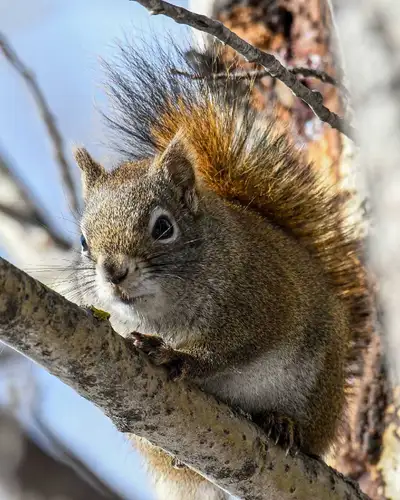  Professional Nanny, House Manager & Family Assistant housekeepi, View more