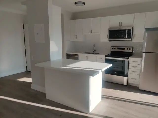 N35 — Renovations & Handyman (GTA) — WSIB & $5M Liability63373390811139121