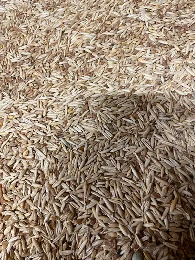 Whole grains wheat/barley/oats/peas/canola seeds/lentils, View more