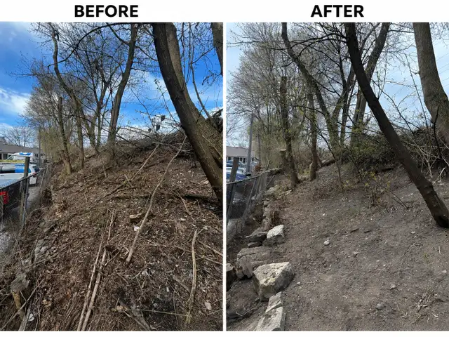 Property Maintenance Services in Lawn, Tree Maintenance & Eavestrough in City of Toronto - Image 7