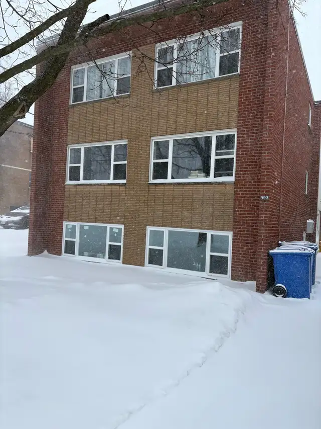 1 bedroom newly renovated apartment on east Mountain